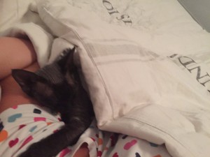 Lucas har hållit mig sällskap i sängen. ❤