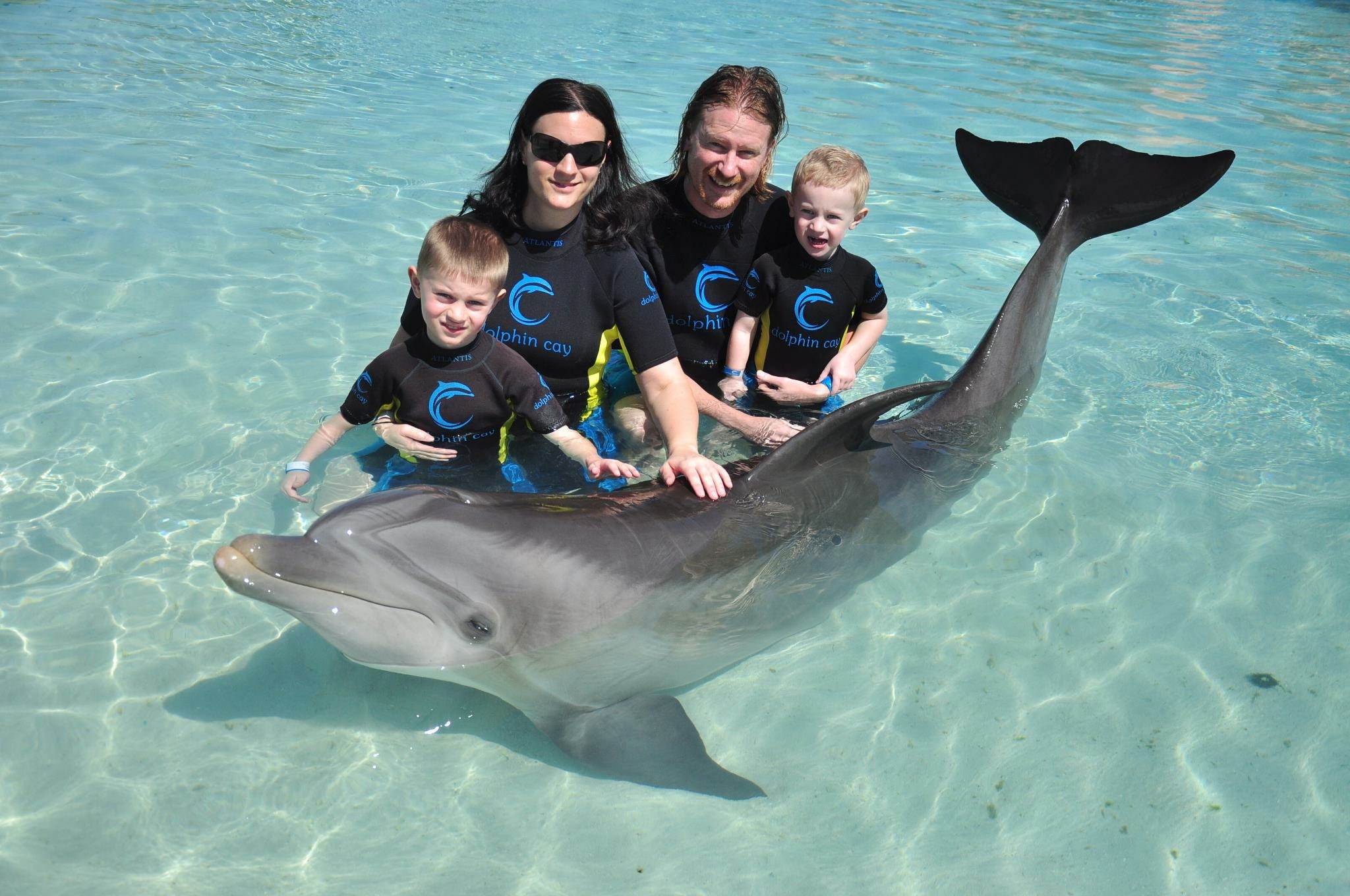 Delfinmöte på Atlantis strand i Bahamas, innan Kevin fanns.